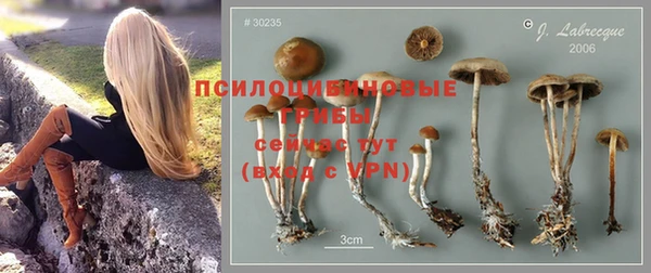 герыч Алексин